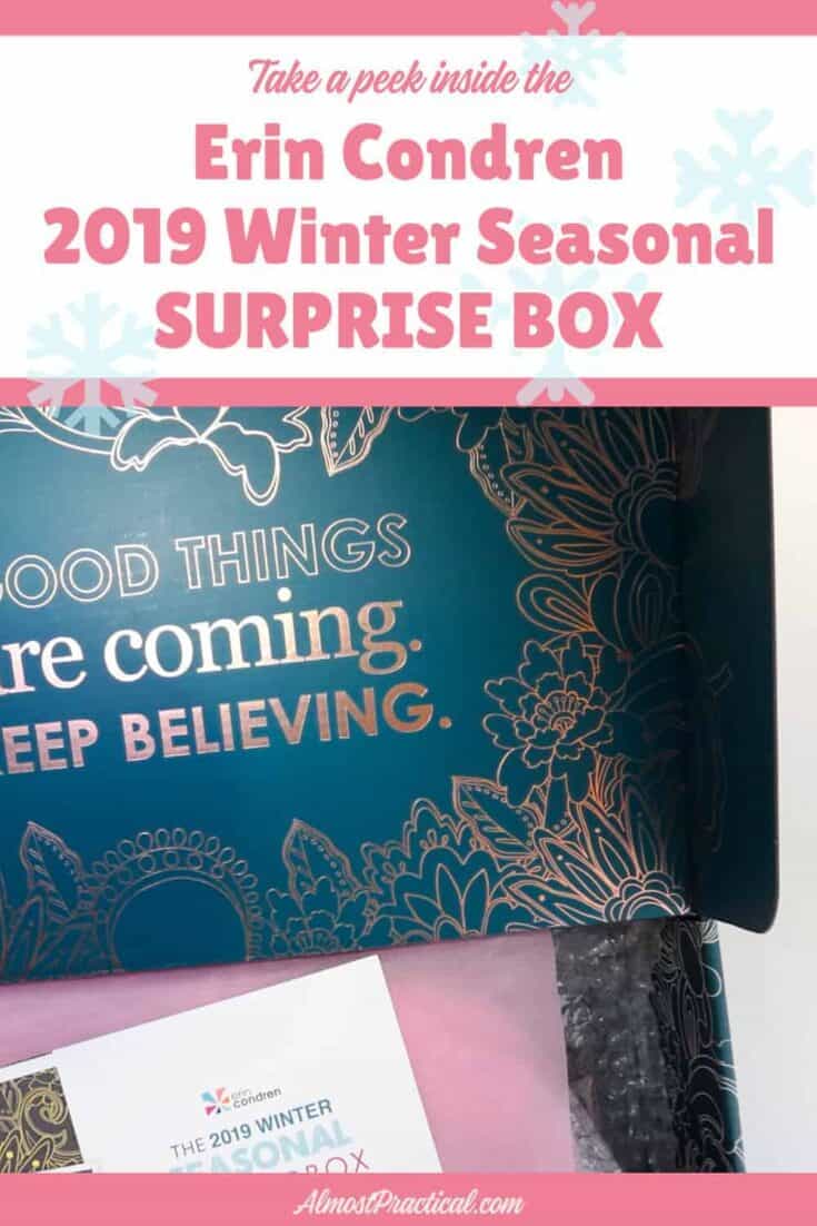 the inside cover of the 2019 Winter Erin Condren Surprise box.