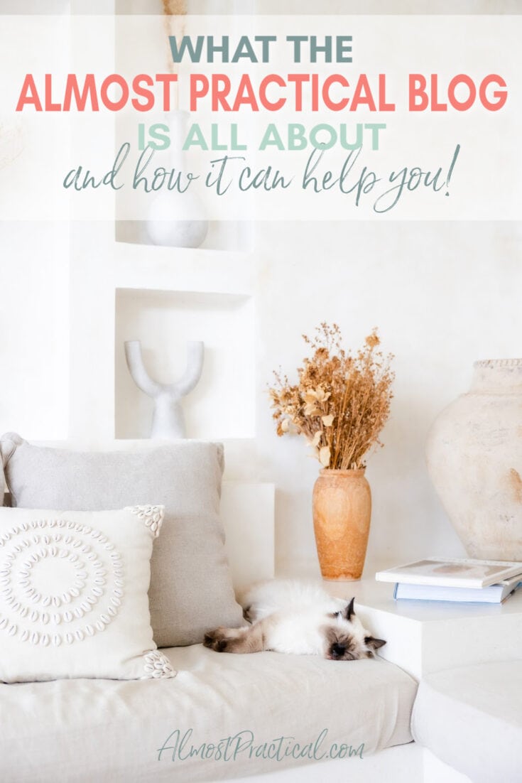 photo of white couch with cat sleeping on it