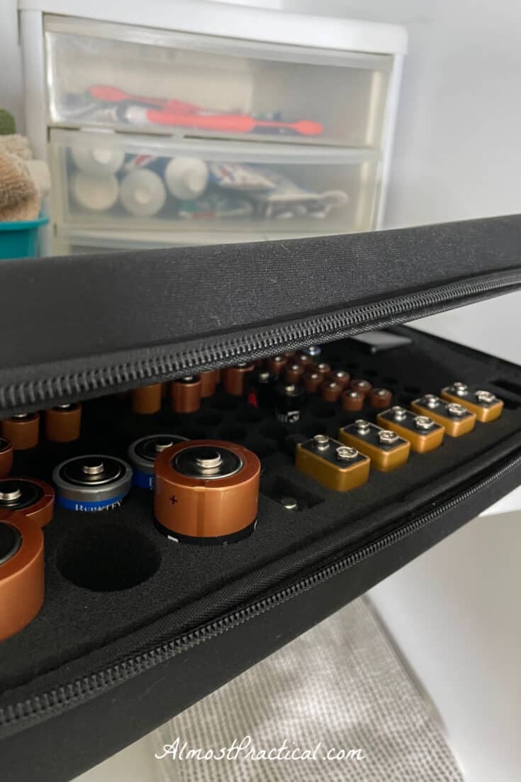 batteries in a battery organizer case