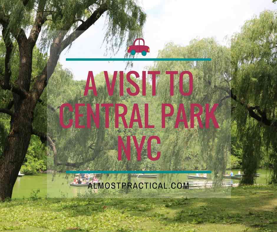 Yesterday I took a break to visit Central Park in NYC. It was a beautiful afternoon and I learned a few touristy tips to keep in mind for the next trip.