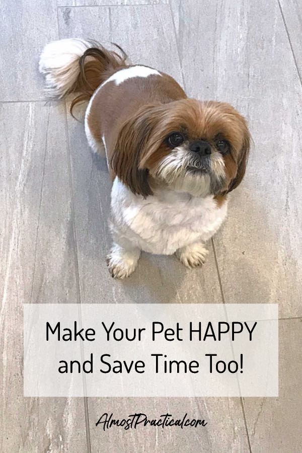 Chewy.com – Make Your Pet Happy and Save Time Too