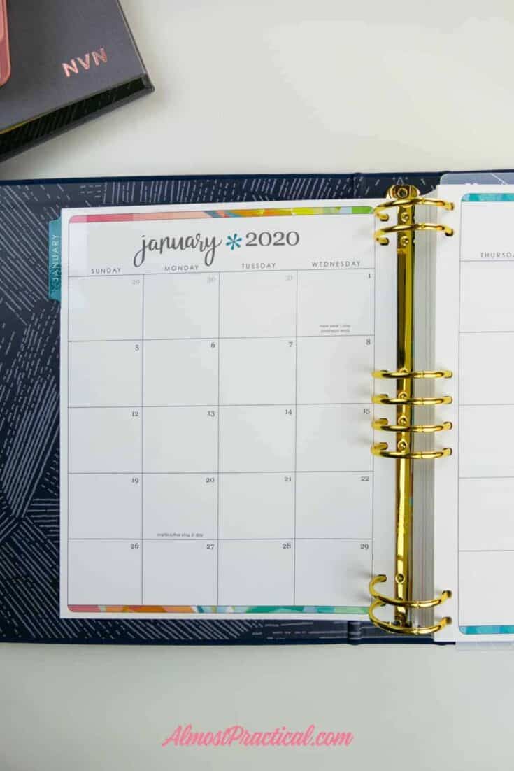 The tabbed monthly page for January in the Erin Condren LifePlanner Binder.