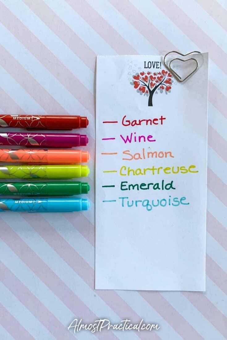 Erin Condren Dual tip markers in the Tropics colors