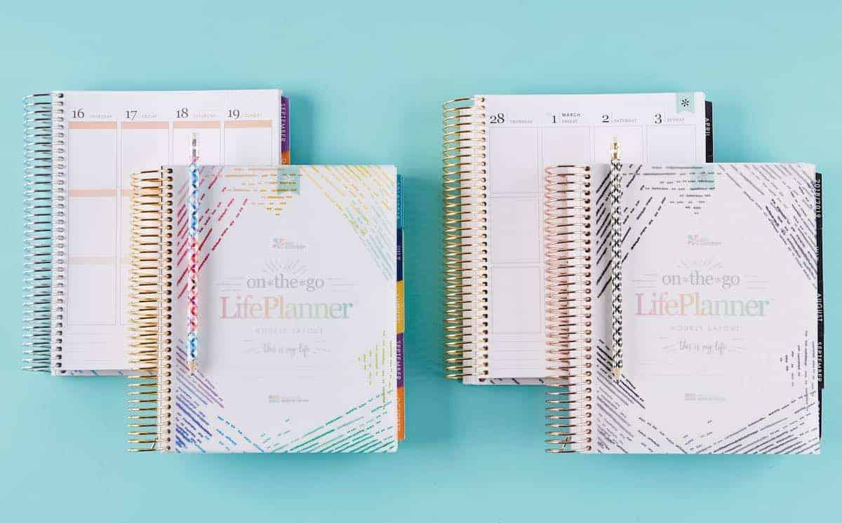 erin condren both color themes