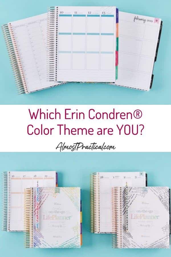 Erin Condren color themes