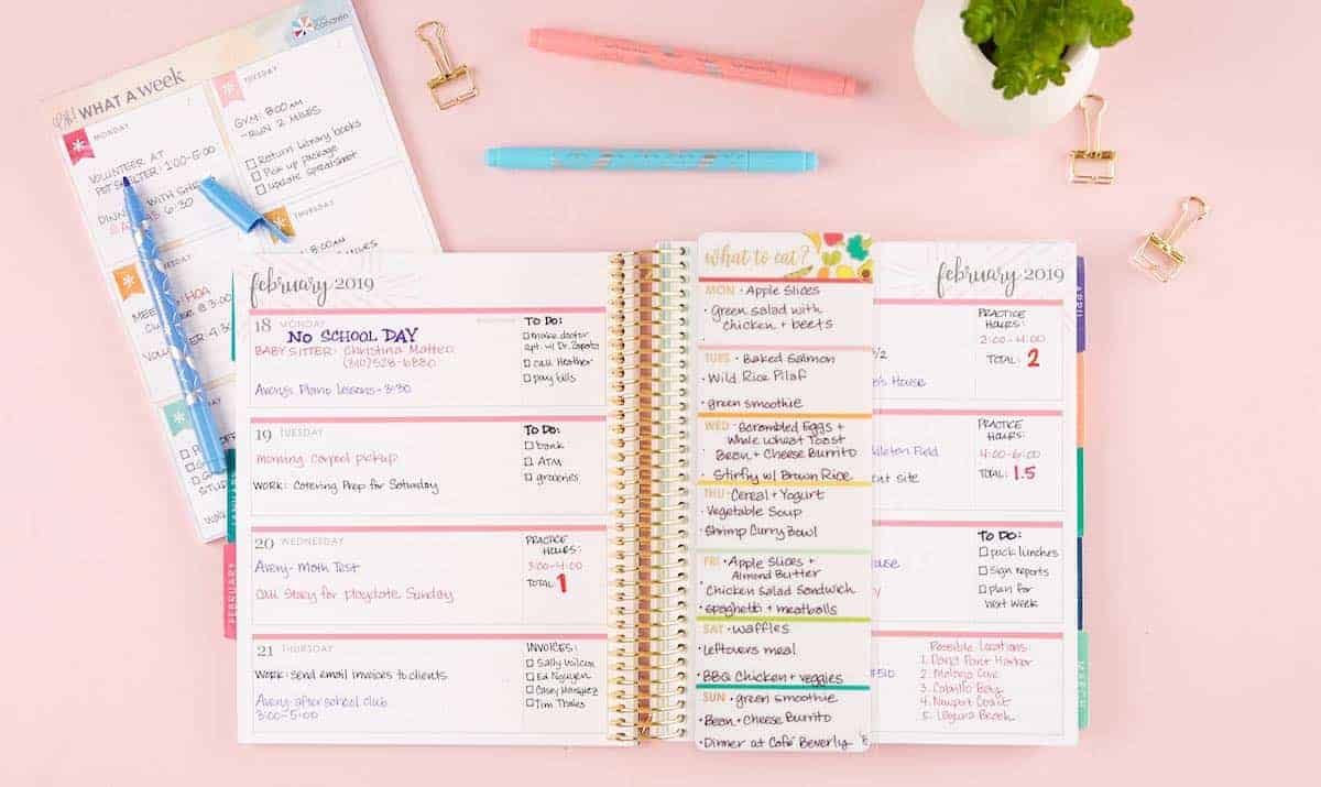 erin condren colorful theme