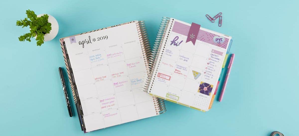 Erin Condren Deluxe Monthly Planner Color Themes