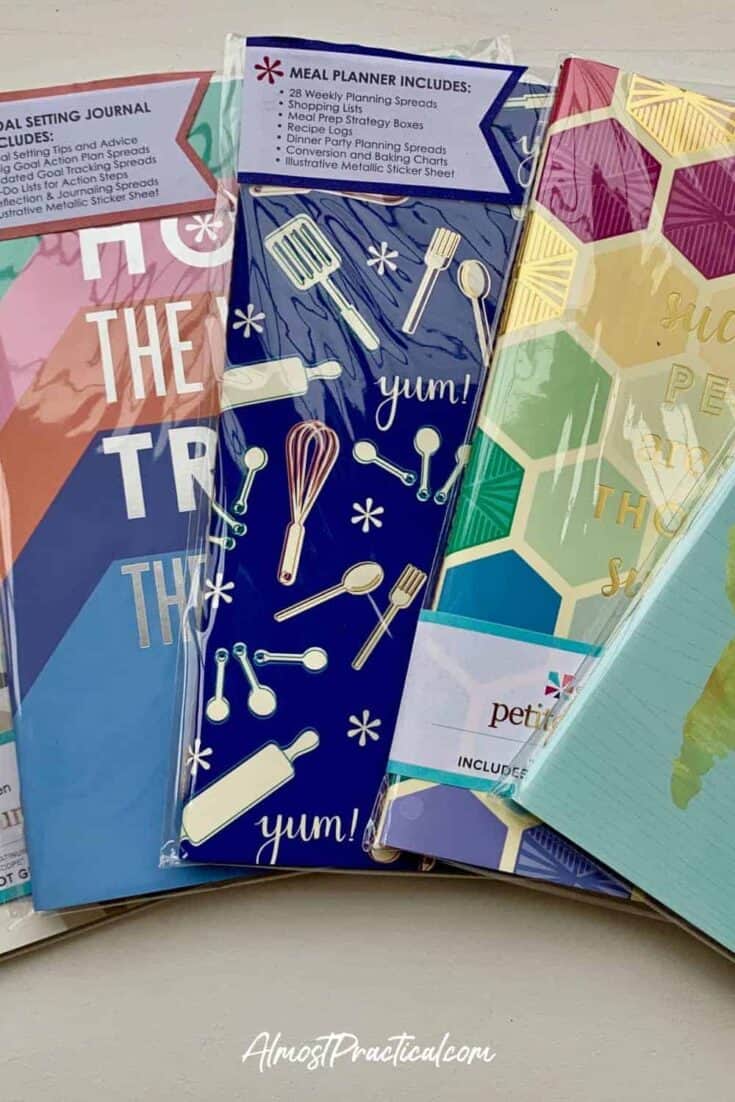 A close up of a selection of PetitePlanners for the Erin Condren On the Go Folio System.