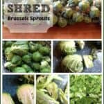 How to shred brussels sprouts for great, healthy, dinner and side dish recipes.