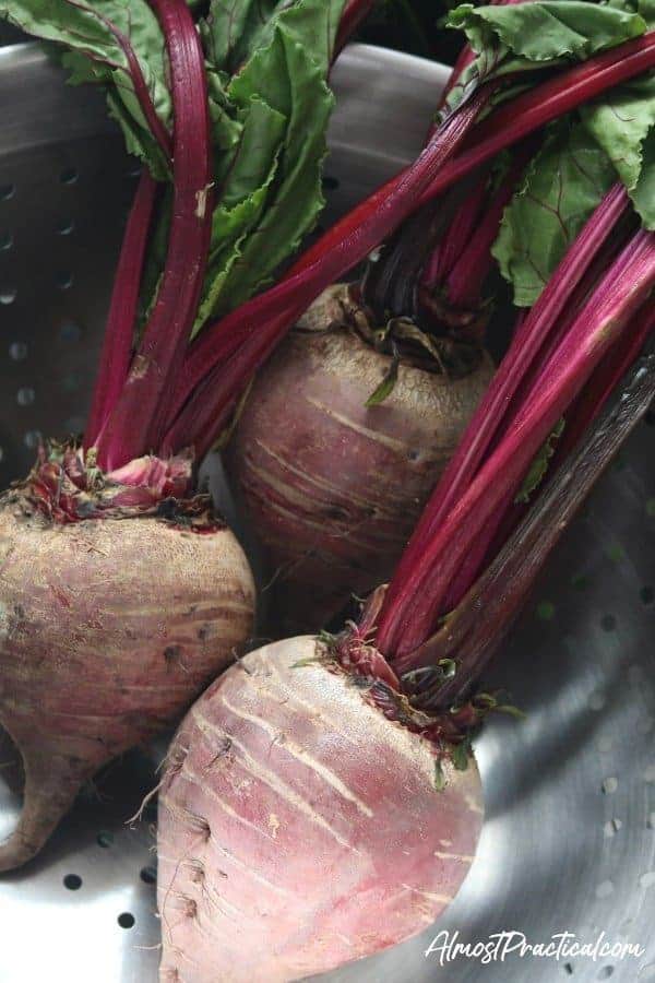 Fresh Beets in a stainless steel strainer