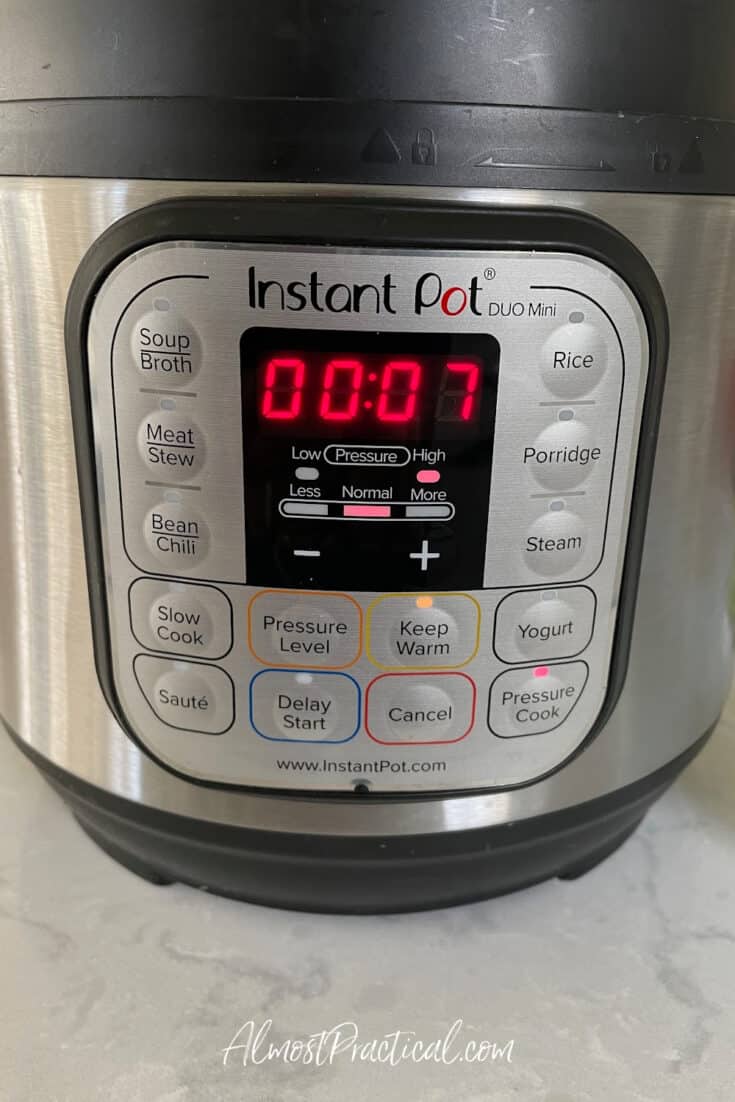 instant pot settings panel