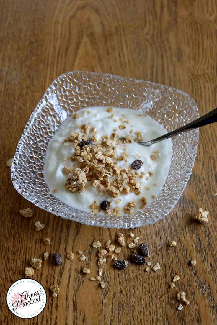 Instant Pot Yogurt Recipe