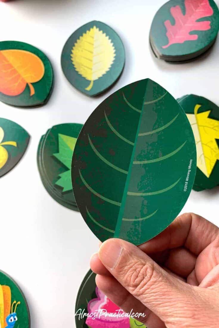 Close up of the dark green leaf side of the cards in the Stink Bug Card Game for children.